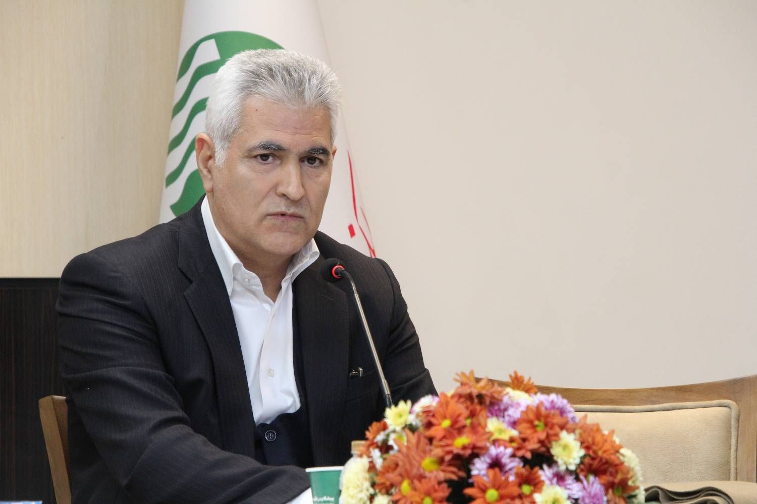 بهزاد شیری